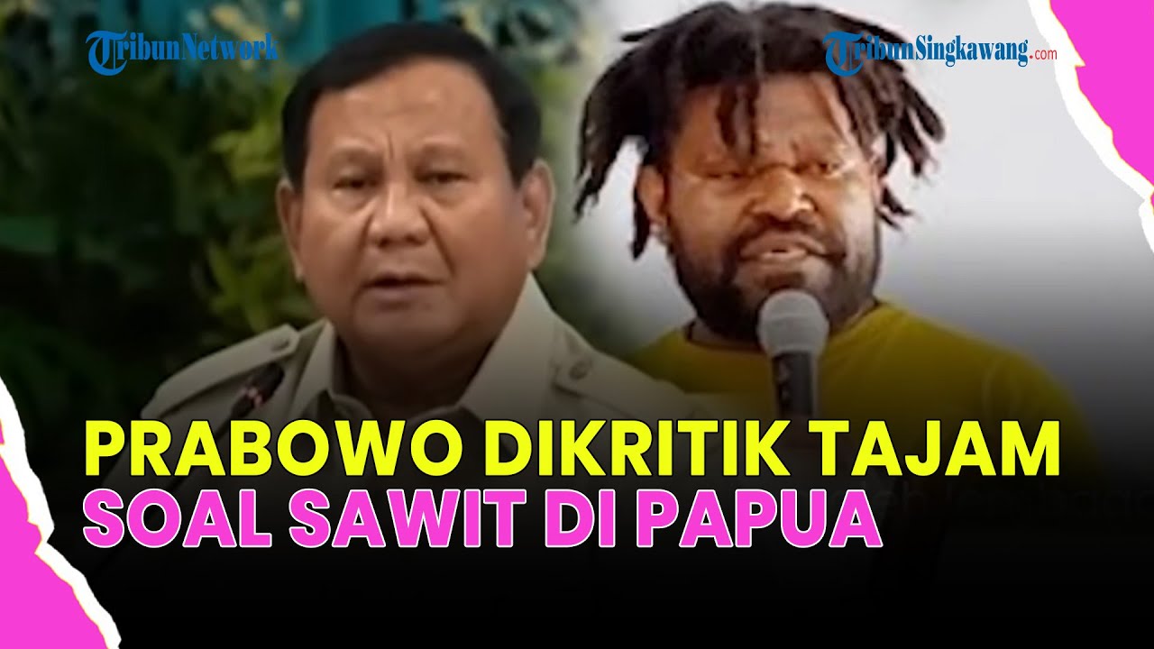 🔴WALHI DIPERINGATKAN PRABOWO SOAL RENCANA TANAM SAWIT DI TANAH PAPUA
