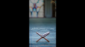 أمن يجيب المضطر إذا دعاه | القارئ أحمد النفيس | القرآن الكريم