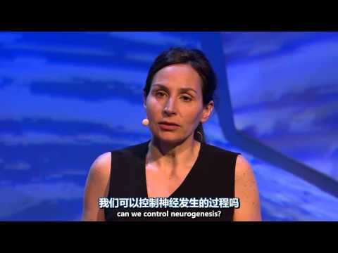 【TED2015】【启点字幕组】 Sandrine Thuret 成年人也能产生新的神经细胞