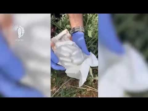 הפתעה בטיטול: סוכל ניסיון להחדיר סמים לבית המעצר