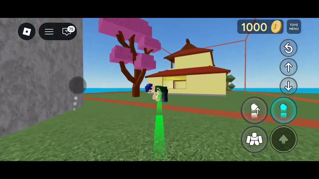 The Dummy glitch 