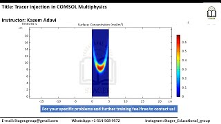 Tracer injection simulation applying COMSOL Multiphysics for drug delivery