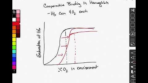 Cooperative binding in hemoglobin