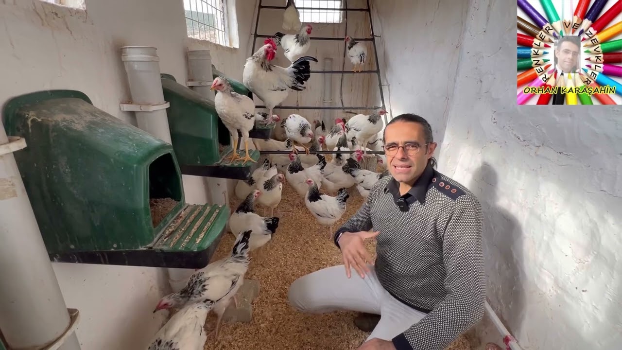 Kümeslerdeki köklü değişiklikler (4.dönem)