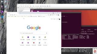 mininet-container(dockernet)
