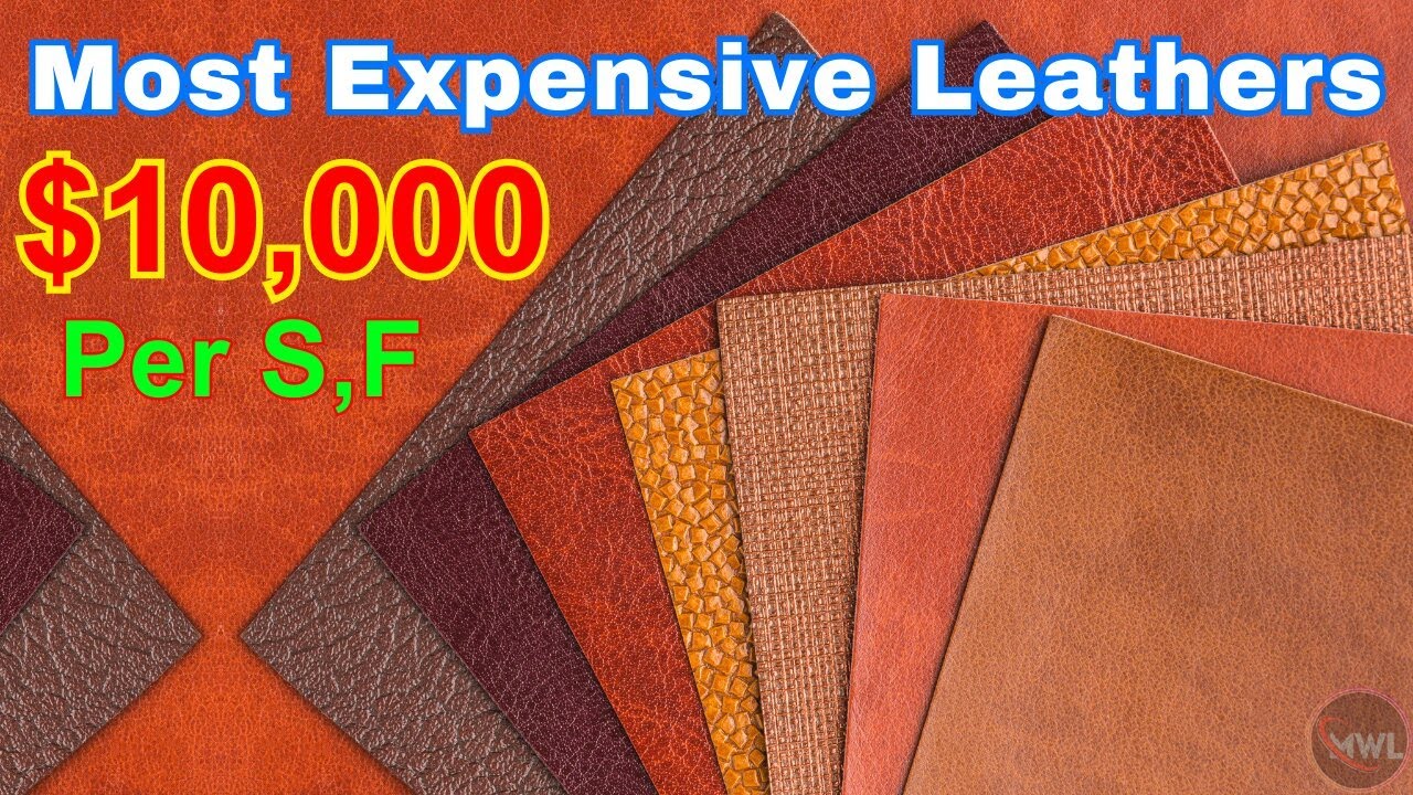 Top 10 Most Expensive Leathers in the World YouTube