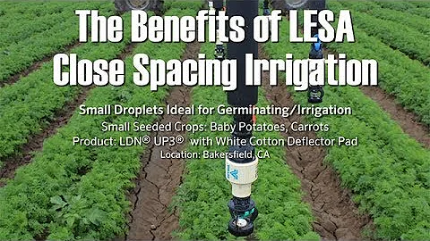 LESA Close Spacing Irrigation on Potatoes & Carrot...