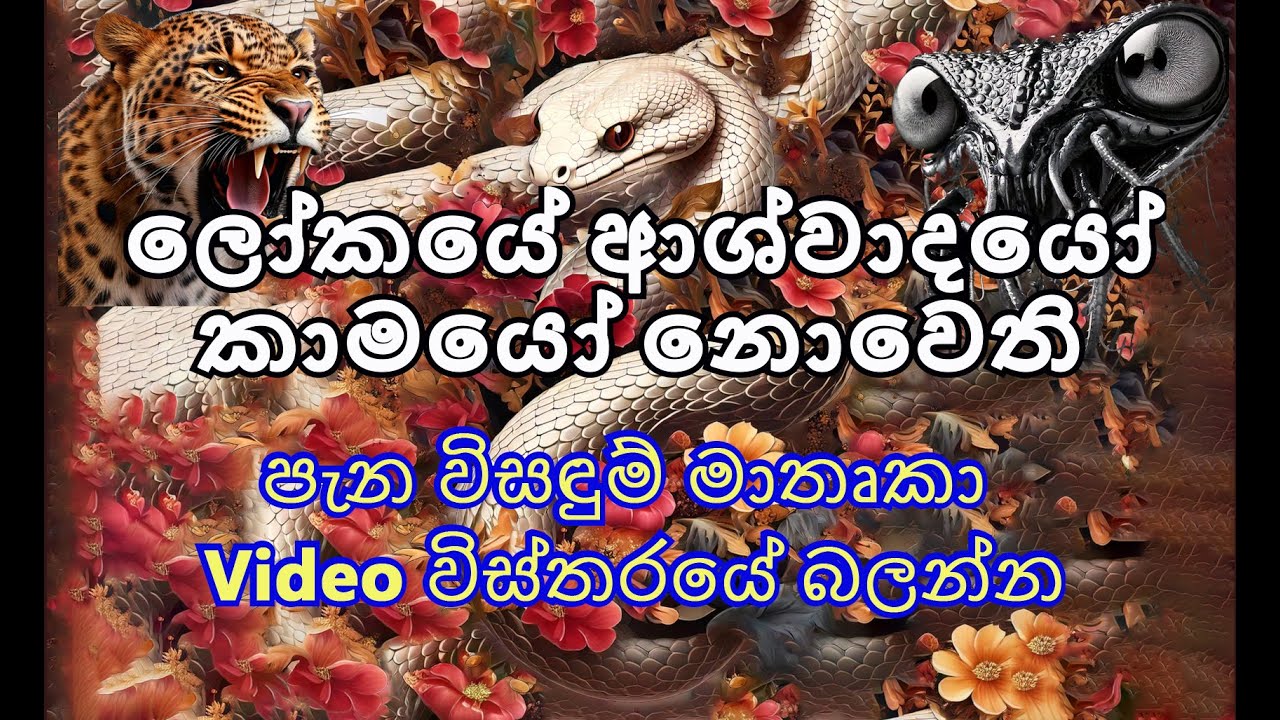 AA0242- ලෝකයේ ආශ්වාදයෝ කාමයෝ නොවෙති.   පැන විසඳුම් මාතෘකා Video විස්තරයේ බලන්න.