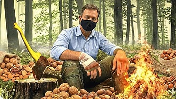 How Brazil Nuts and Expensive Macadamia Nuts Are Harvested Secrets Revealed   A Quick Tour