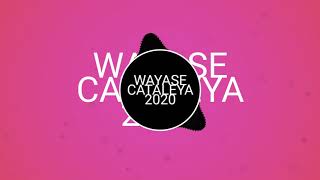 Wayase Cataleya 2020