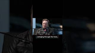 Elon Musk: Relax, Humans. We Still Have Bananas. #AI #ElonMusk #ArtificialIntelligence