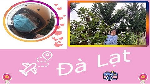 TRẢI NGHIỆM 3 NGÀY SỐNG NHƯ MỘT NGƯỜI ĐÀ LẠT THỰC THỤ || ĐÁM CƯỚI ĐÀ LẠT KHÁC GÌ SÀI GÒN?