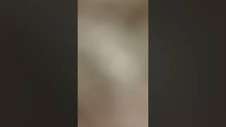 Danceline Built By Andres E Cobo Iturtalde