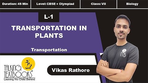 L-1 Transportation In Plants | Transportation Class 7 | Vikas Rathore | TTB