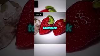 Be Careful Who You Follow