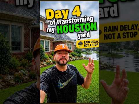 Day 4 of my Houston Yard Transformation : Will it ever quit raining ??