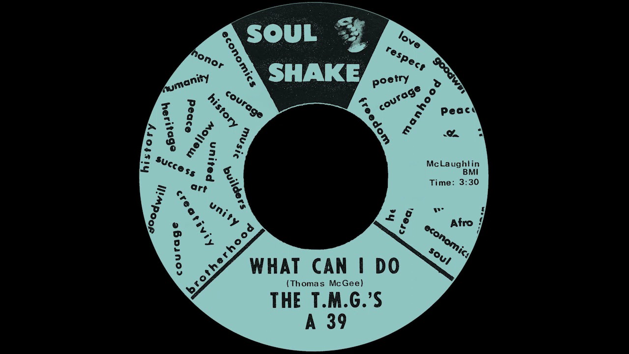 The T M G 's - What Can I Do / The Hatch 7'' (1967)