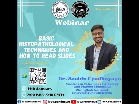 Basics of Histopathology and How to Read Slides || IVSA Paklihawa || Dr Sachin Upadhayaya || Nepal