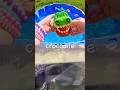Learn Animal Names for Kids with Toys: Panda Crocodile Hippo Chameleon Komodo Dragon
