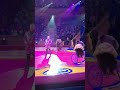 медведи на велосипеде цирк медведи 