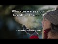 Why can we see our breath in the cold?