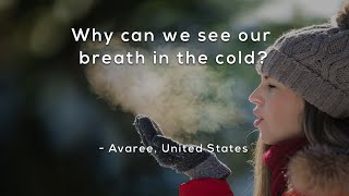 Why can we see our breath in the cold?