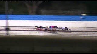 Mandurah-07032016-Race-12
