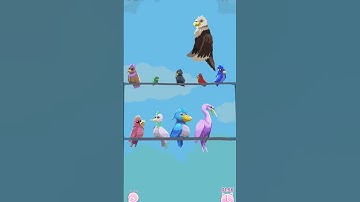 These birdies just won