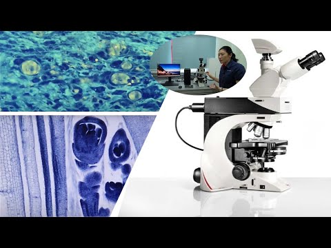 Leica DM2500 LED Optical Compound Microscope