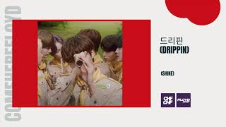 DRIPPIN (드리핀) 'Shine'
