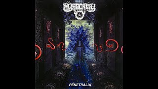 Watch Hypocrisy Suffering Souls video