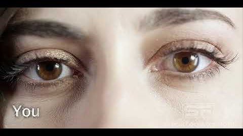 Hybrid Haiku Assignment