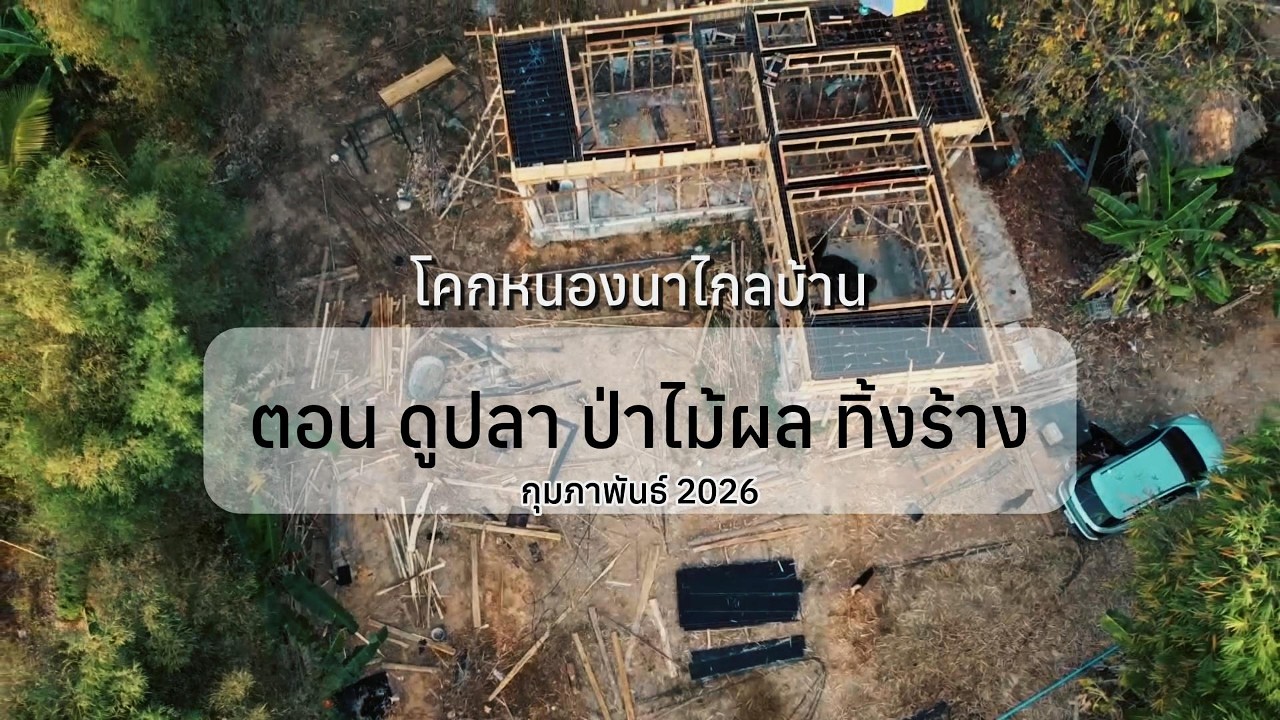 โคกหนองนาไกลบ้าน ตอน 12 ตอน ปลา ป่าไม้ผล ถูกทิ้งร้าง “Fish and an abandoned fruit orchard”