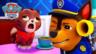 uh oh tea party trouble can paw patrol fix it paw patrol