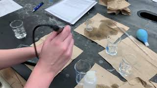 UAB CH 118 Acids and Bases Lab