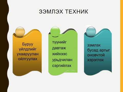 Видео: Сурган хүмүүжүүлэх их сургуульд ямар факультетууд байдаг