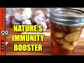 How to Make Fermented Garlic Honey
