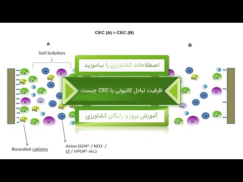 تصویری: هوموس از چه ساخته شده است - تفاوت بین کمپوست و هوموس را بیاموزید