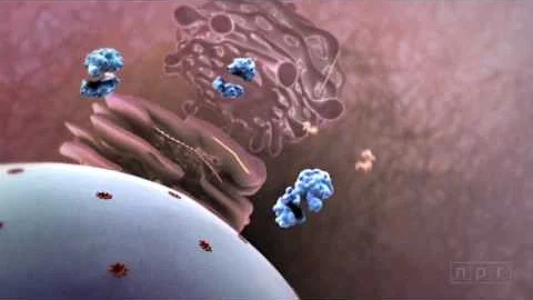 What is CMV virus symptoms?