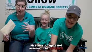 AdoptAPet Show 20190617