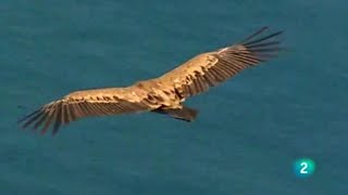 Espacios naturales - Litoral de Cantabria | Documental 