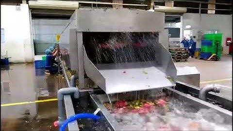 Máy rửa con lăn bàn chải ngang, máy rửa trái cây