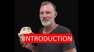 Introduction To Realpaleontology