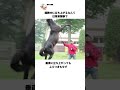 【此の親にして此の子あり】あのエゲつないモンスターことゴルシの親父、ステイゴールドの雑学