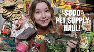 Mive 800 Pet Supply Haul