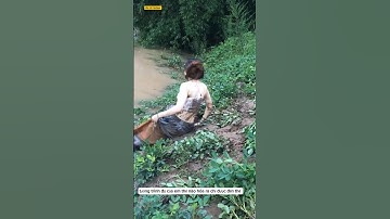 gái xinh đi quăng chài bắt cá và cái kết #fishing #giaitri