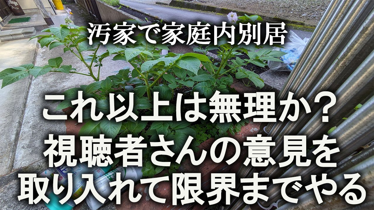 【片付け】納得できない玄関前、リベンジします！初公開の車庫内、枯れ葉集め｜玄関｜汚部屋｜ズボラ主婦｜庭仕事｜園芸