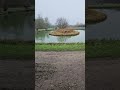 Winter Carp Fishing Adventures #fishing #carpfishing #carpbait #fok