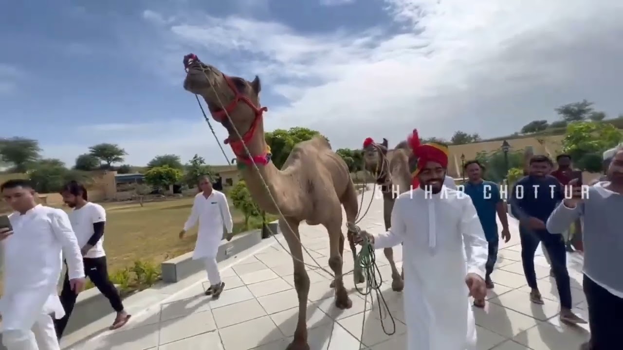 Shihab Chottur Walk with camel at Ratangarh churu Rajasthan | Kerala to ...
