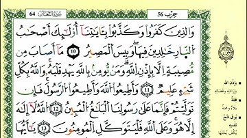 سورة التغابن للقارئ ياسين الجزائري برواية ورش